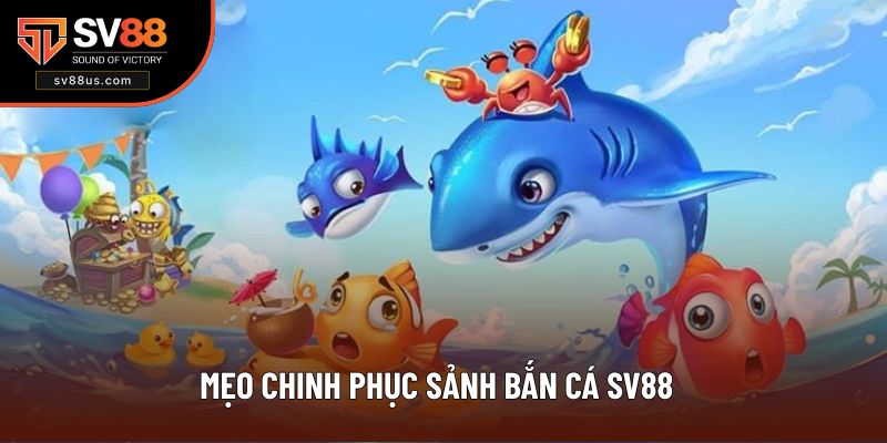 Nắm rõ các chiến thuật săn sinh vật biển hiệu quả từ cao thủ
