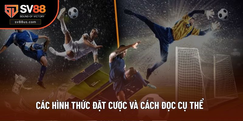 Các hình thức đặt cược và cách đọc cụ thể