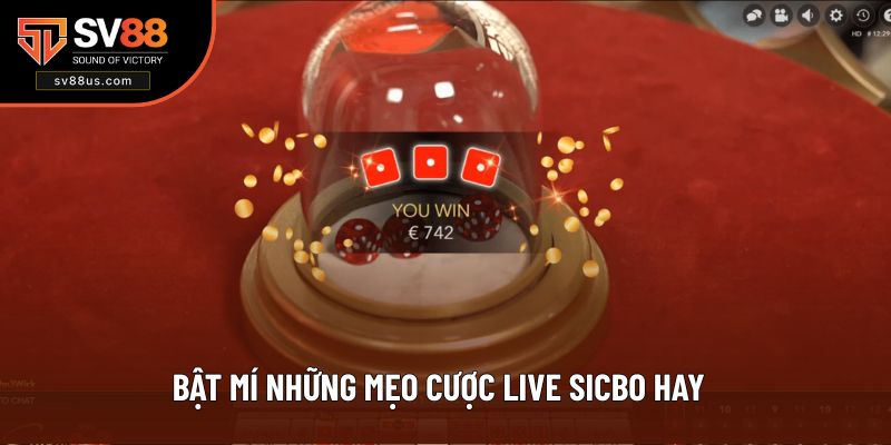 Chiến thuật săn thưởng hữu ích