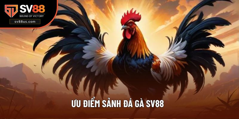 Sảnh cược thú vị thu hút hàng triệu thành viên gia nhập