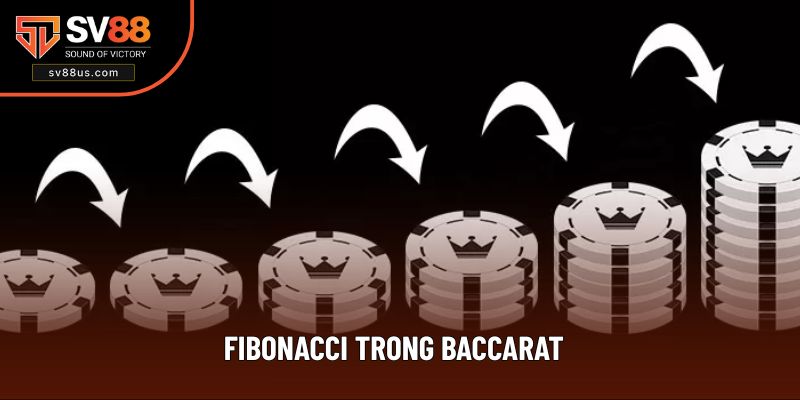 Fibonacci Trong Baccarat - Thủ Thuật Hữu Ích 2025