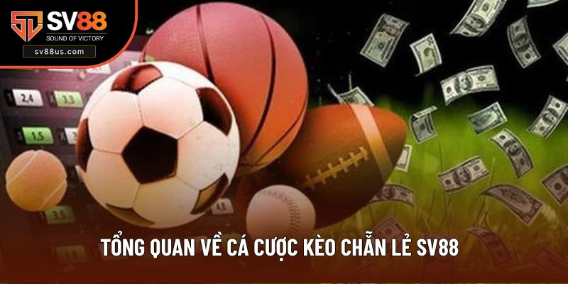 Giới thiệu chung về kèo chẵn lẻ