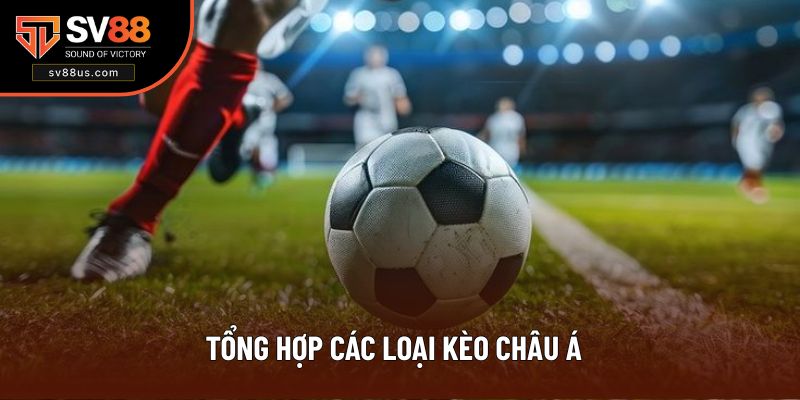 Đa dạng tỷ lệ chấp để phù hợp với nhiều trận đấu hay