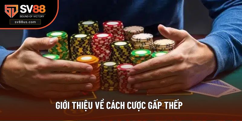 Tổng quan về phương thức cược gấp thếp